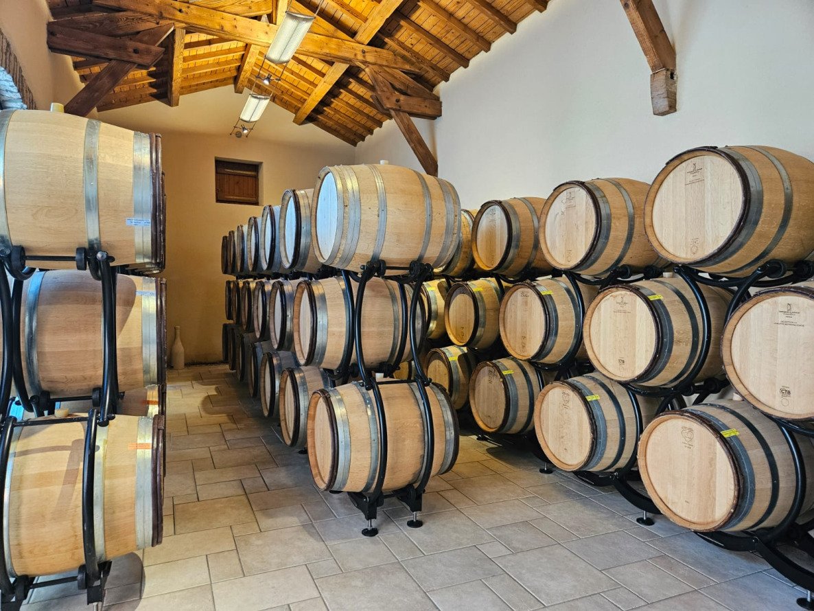 WhatsApp Image 2025-11-13 à 21.42.54_a7c268c4.jpg